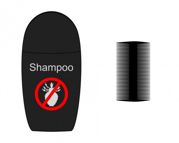 Lice combs and shampoo