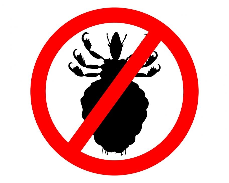 Stop lice