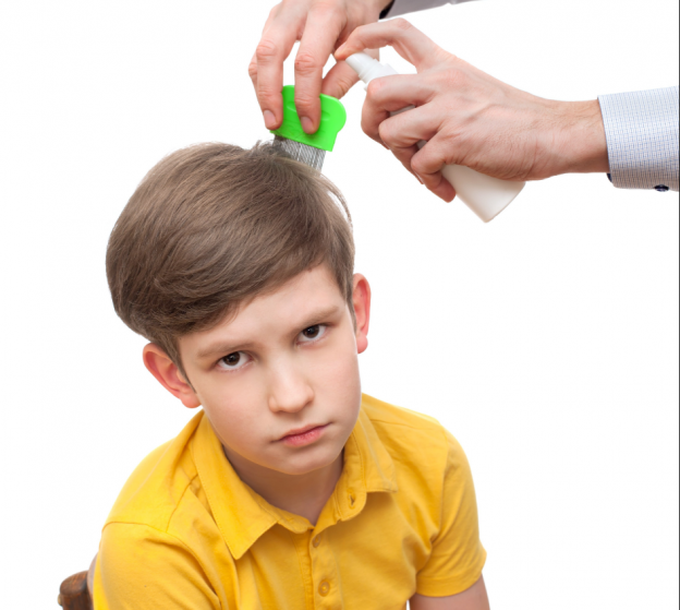 The boy's hair is cleaned with a brush from lice